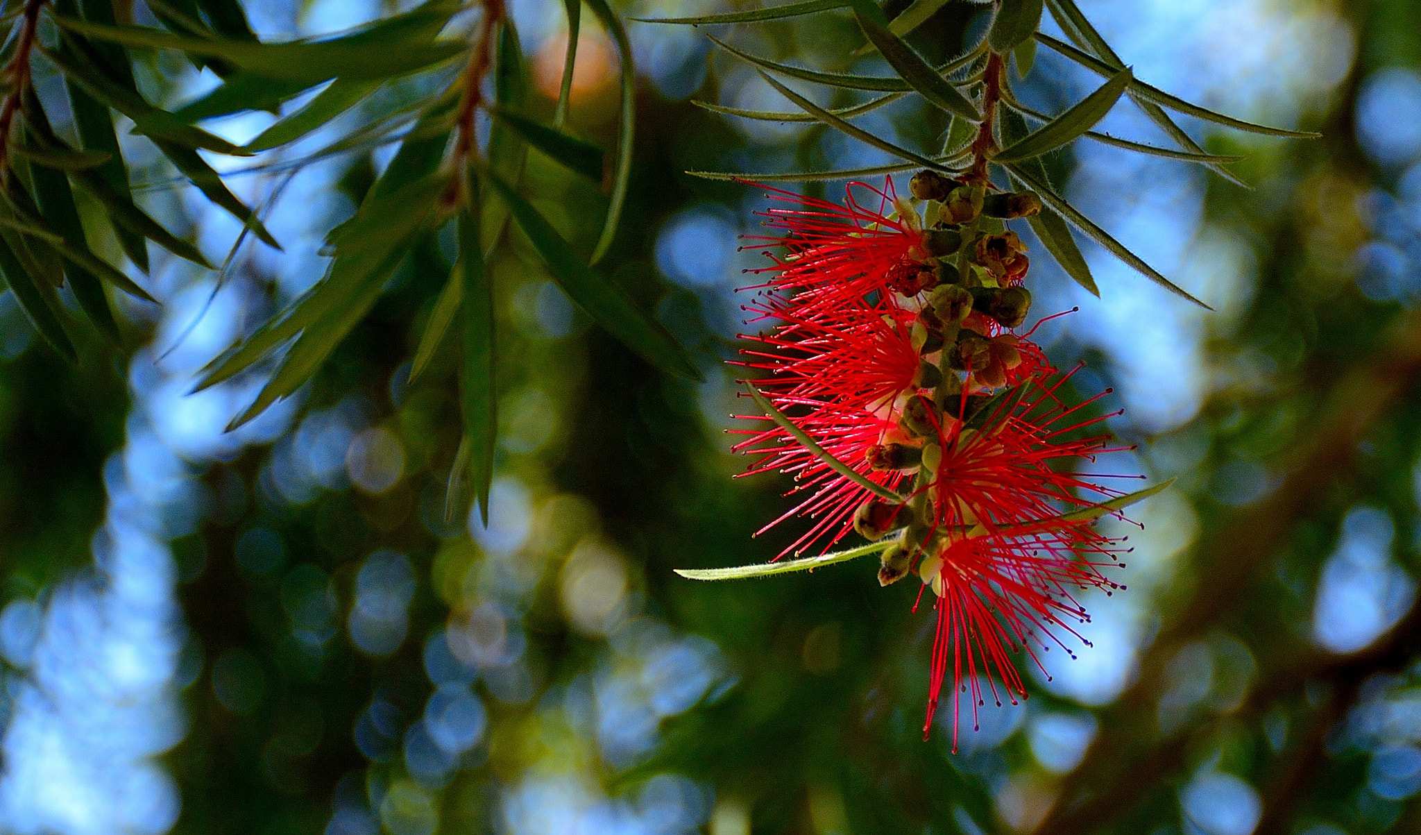 Nikon D3200 sample photo