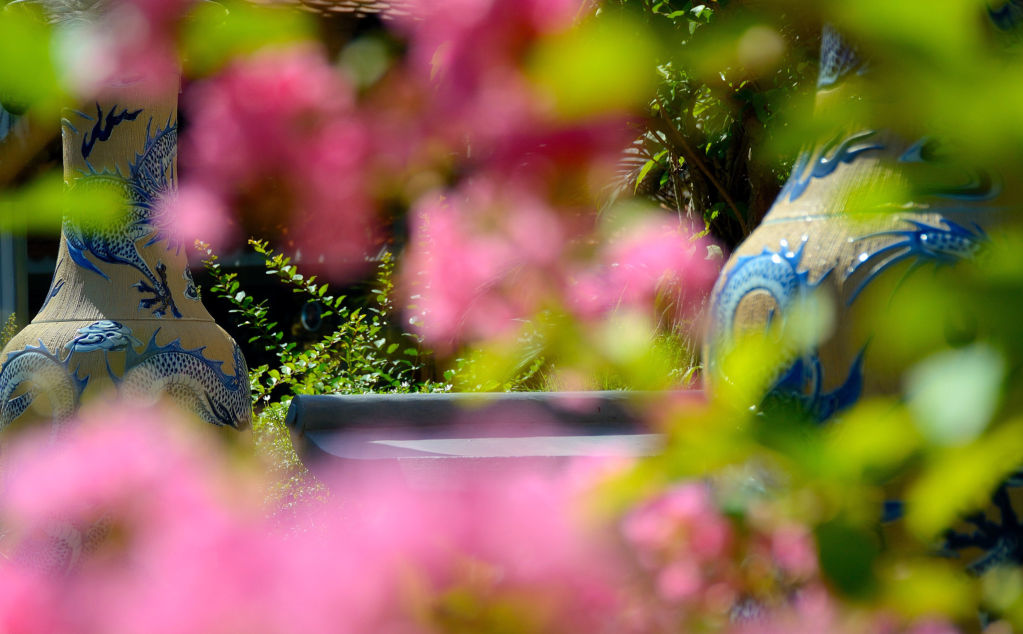 Nikon D3200 sample photo