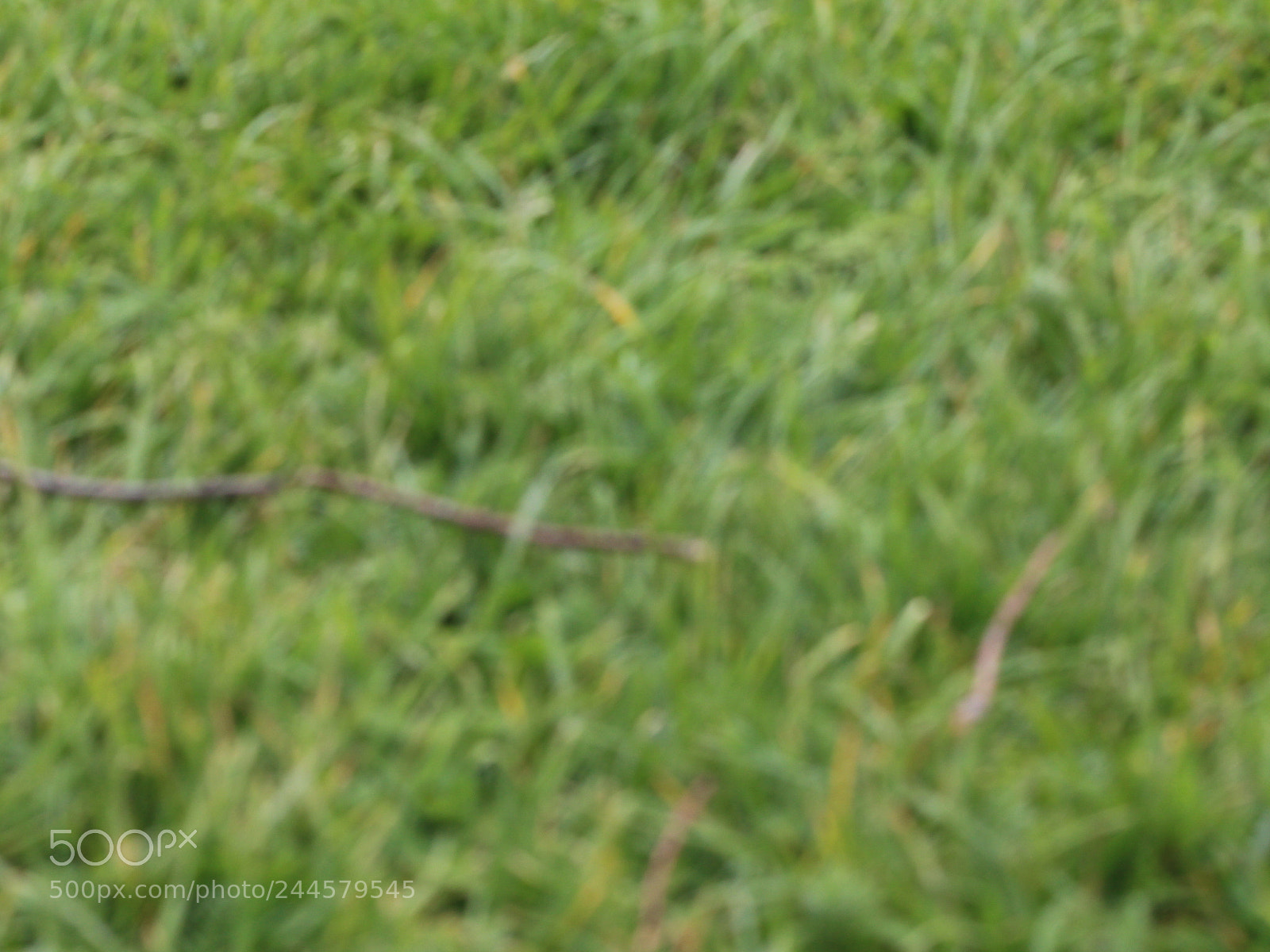 Canon EOS 650D (EOS Rebel T4i / EOS Kiss X6i) sample photo. Img photography