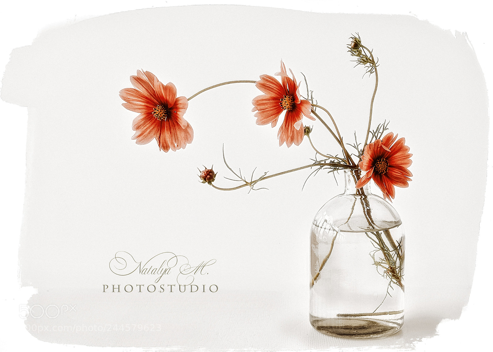 Nikon D610 sample photo. A little bit of photography