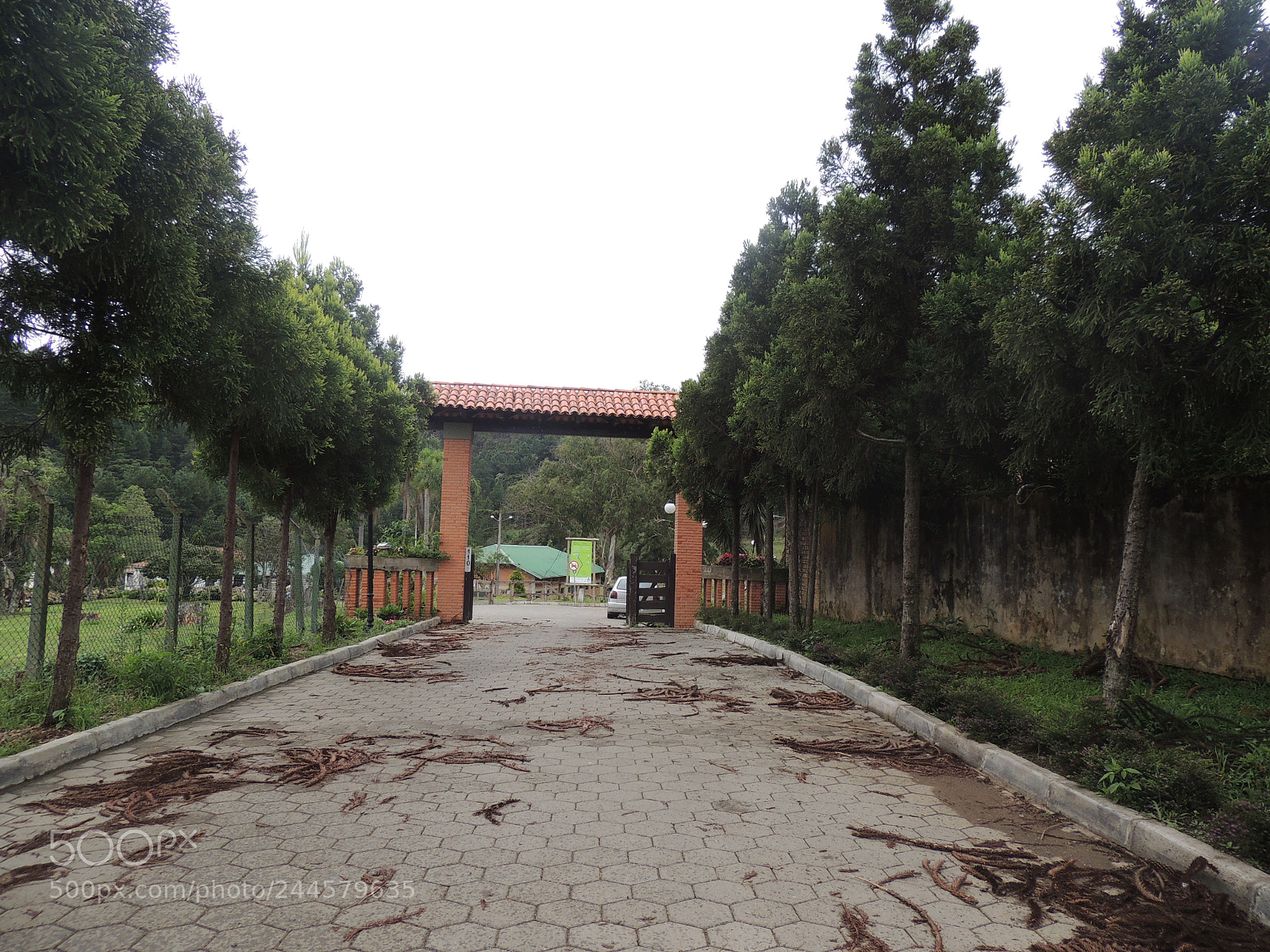 Nikon Coolpix P510 sample photo. Belas vistas photography