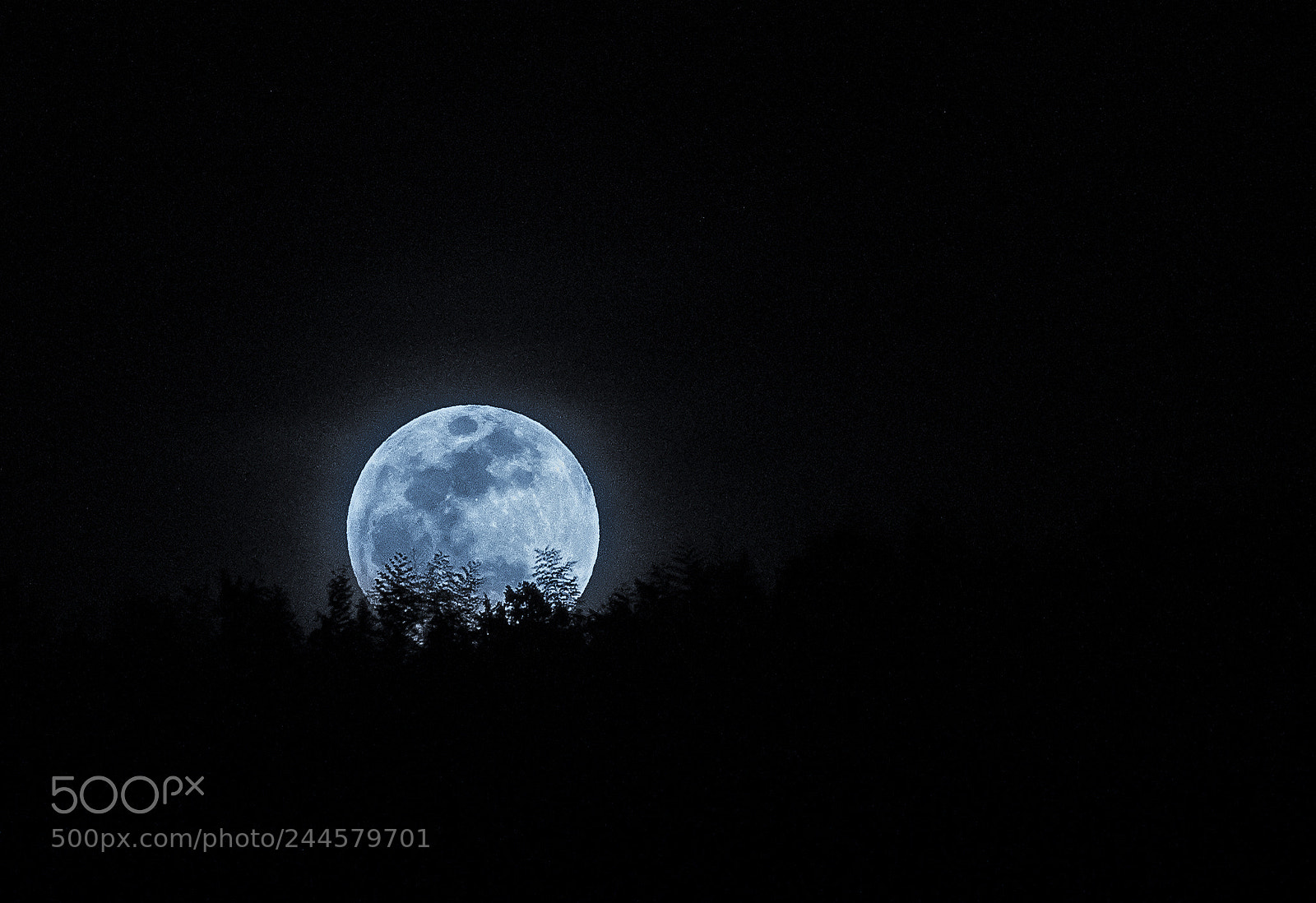 Sony a7R II sample photo. Super blue moon before photography