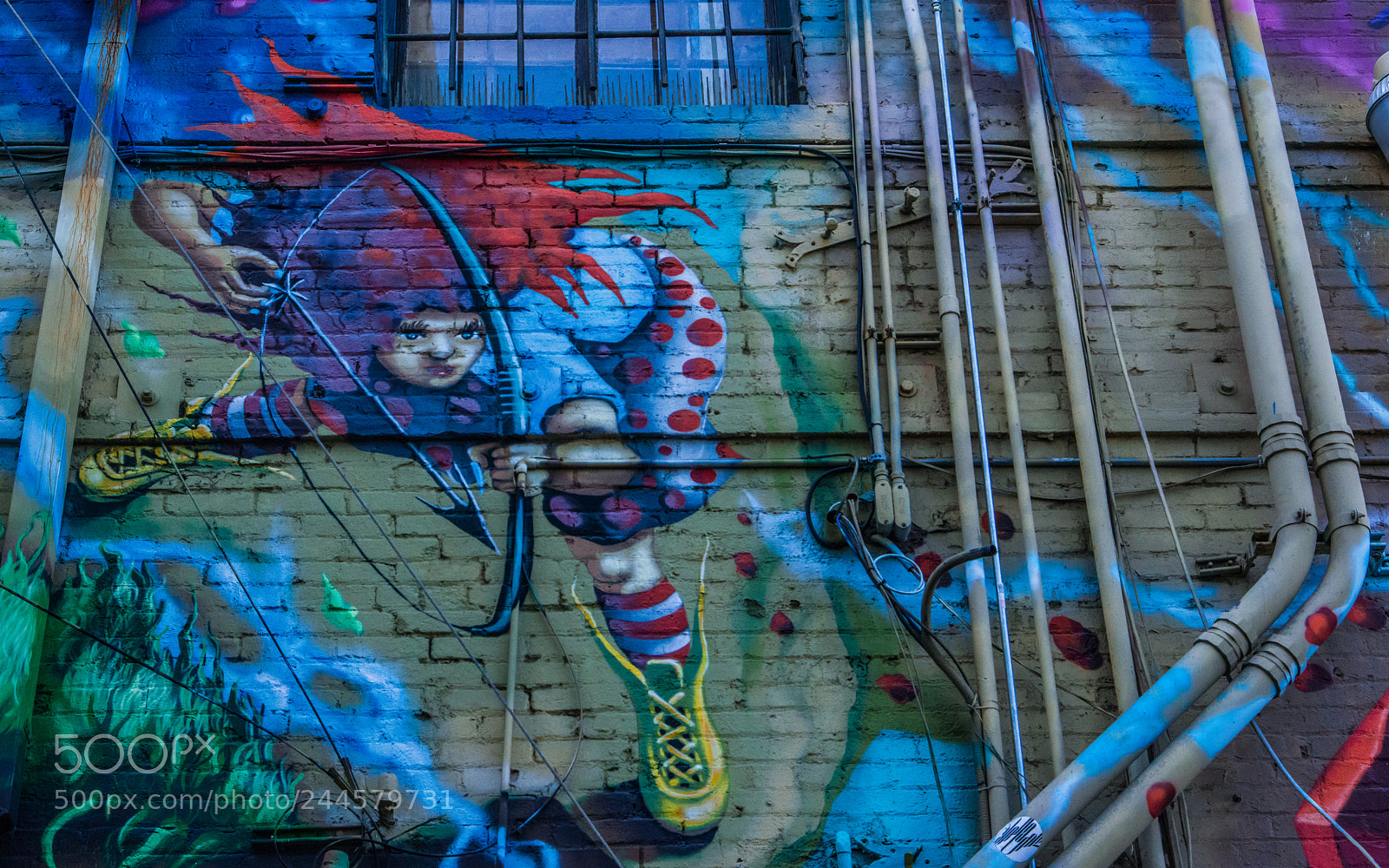 Nikon D800E sample photo. Graffiti art, venice beach photography