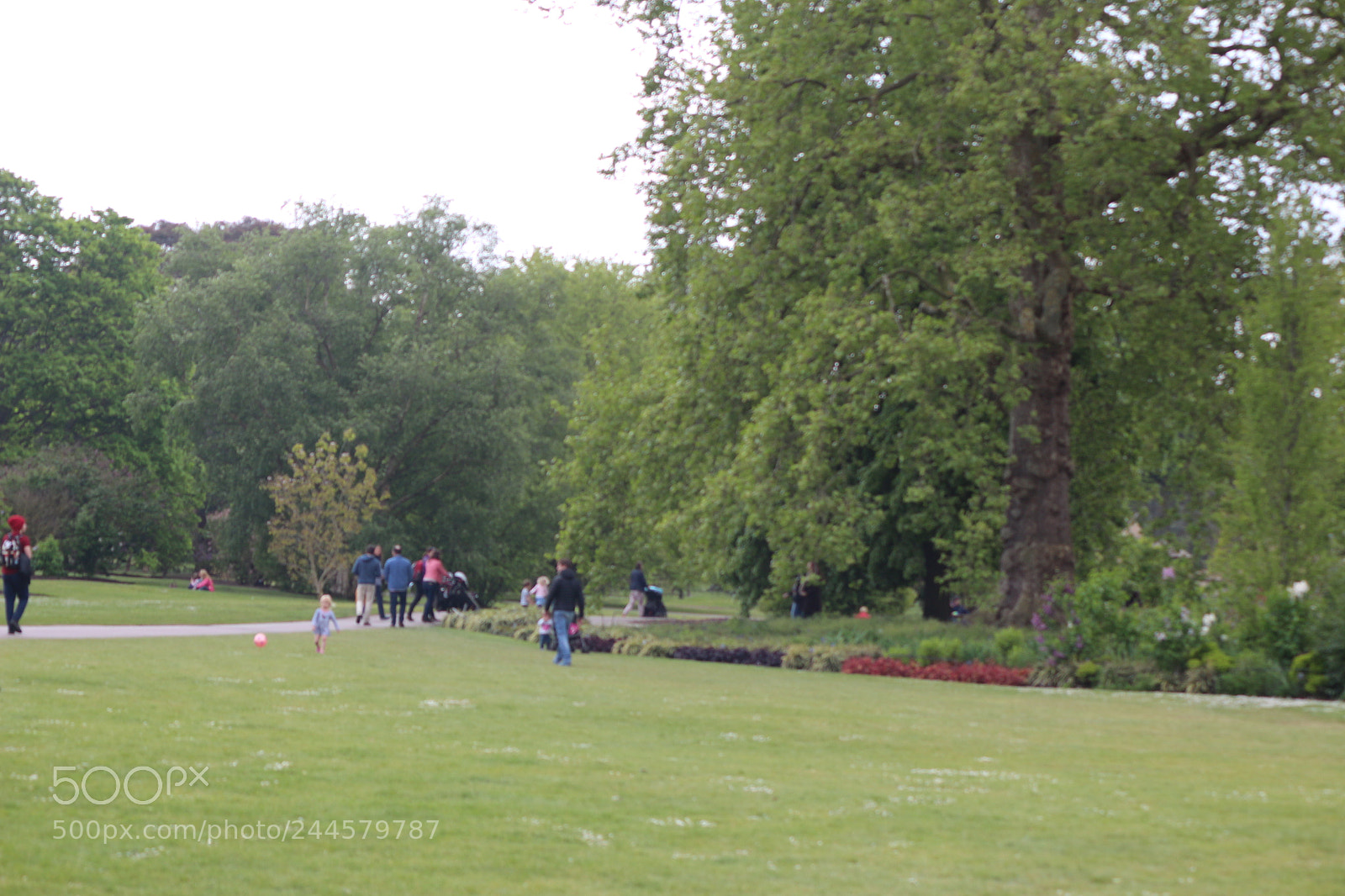 Canon EOS 650D (EOS Rebel T4i / EOS Kiss X6i) sample photo. Img photography