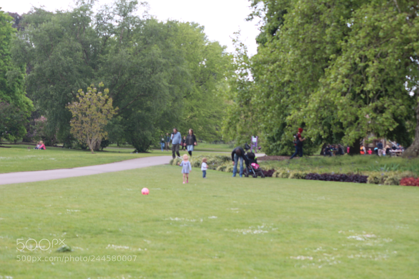 Canon EOS 650D (EOS Rebel T4i / EOS Kiss X6i) sample photo. Img photography