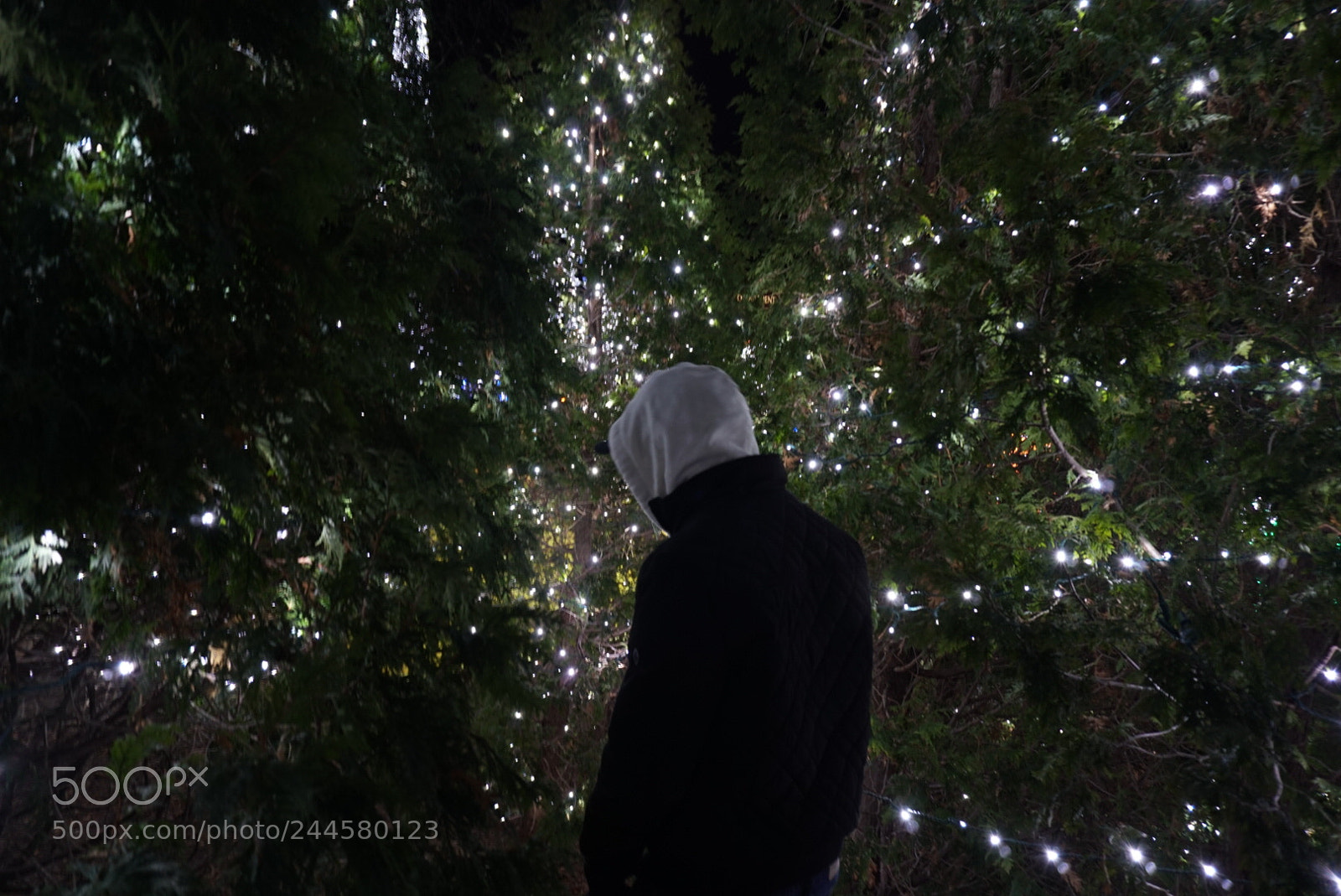 Sony a6300 sample photo. Walking in a winter photography