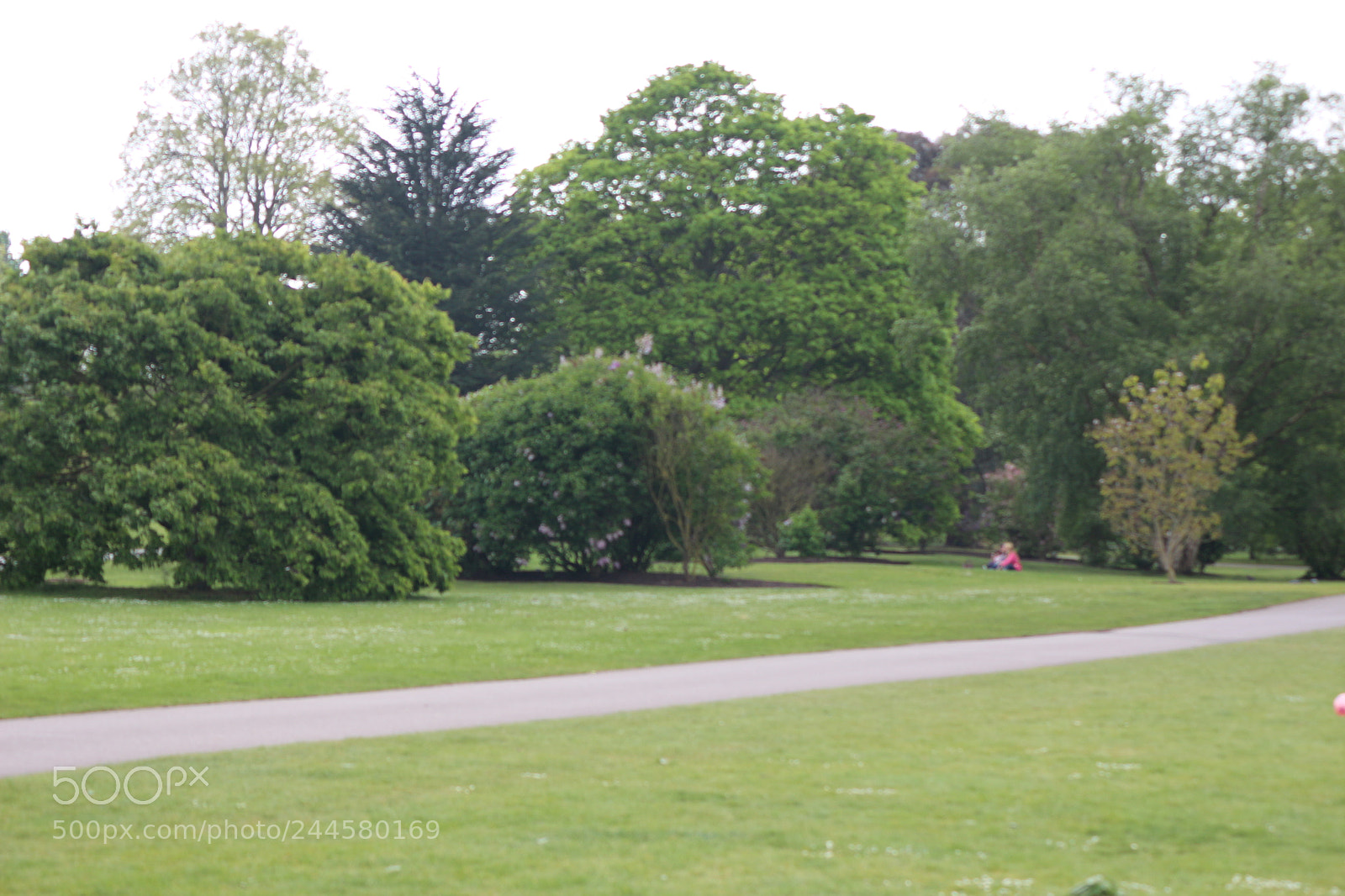 Canon EOS 650D (EOS Rebel T4i / EOS Kiss X6i) sample photo. Img photography