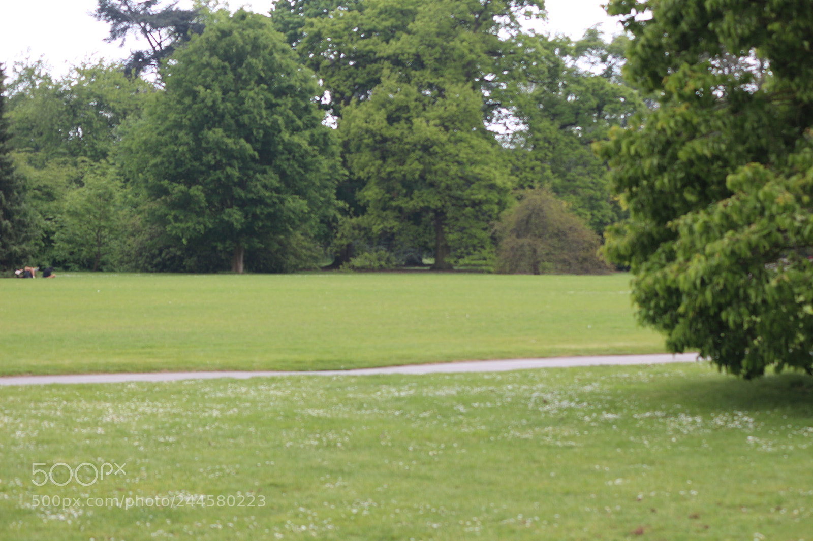 Canon EOS 650D (EOS Rebel T4i / EOS Kiss X6i) sample photo. Img photography