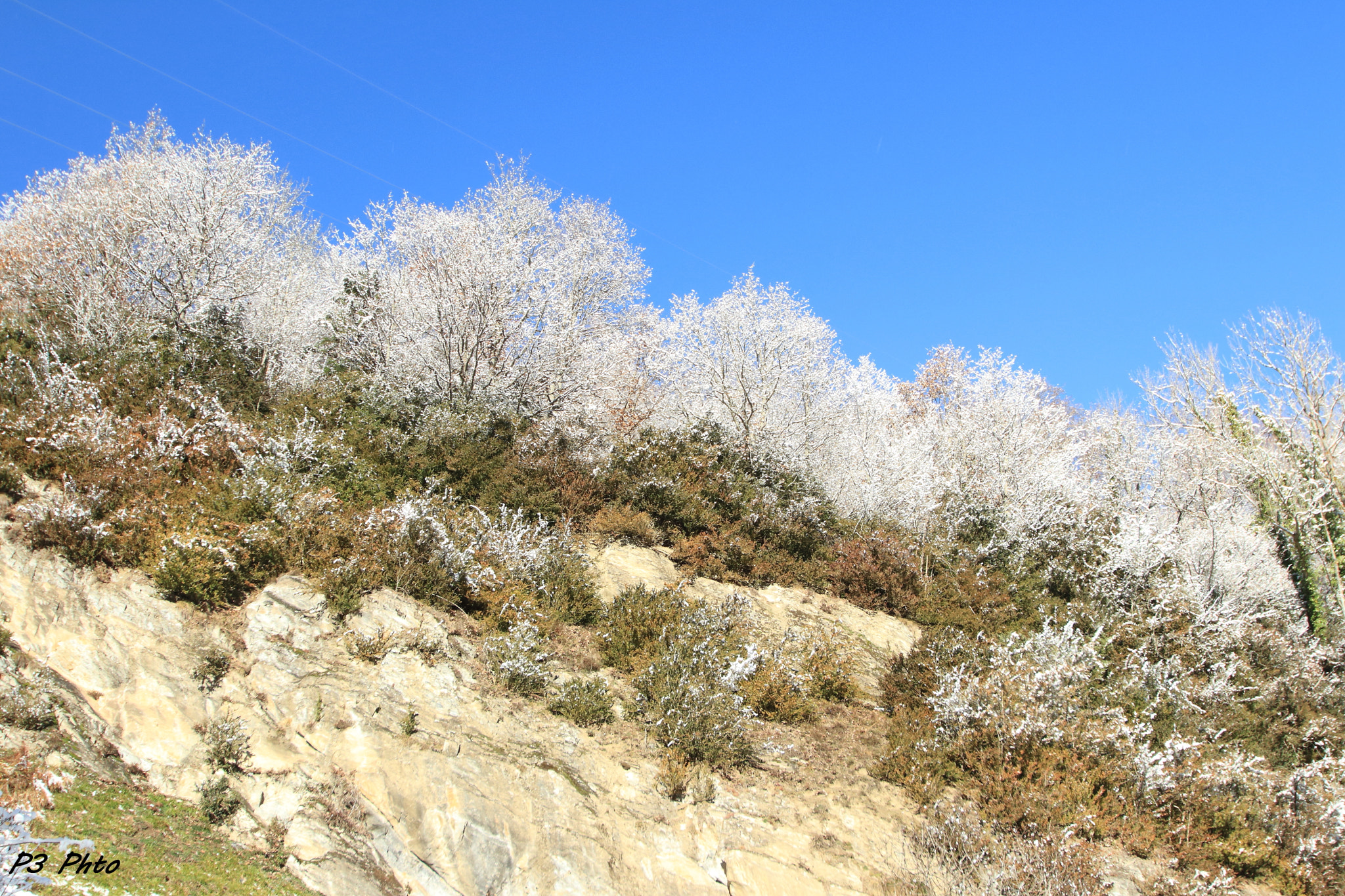 Sigma 10-20mm F3.5 EX DC HSM sample photo. Img photography