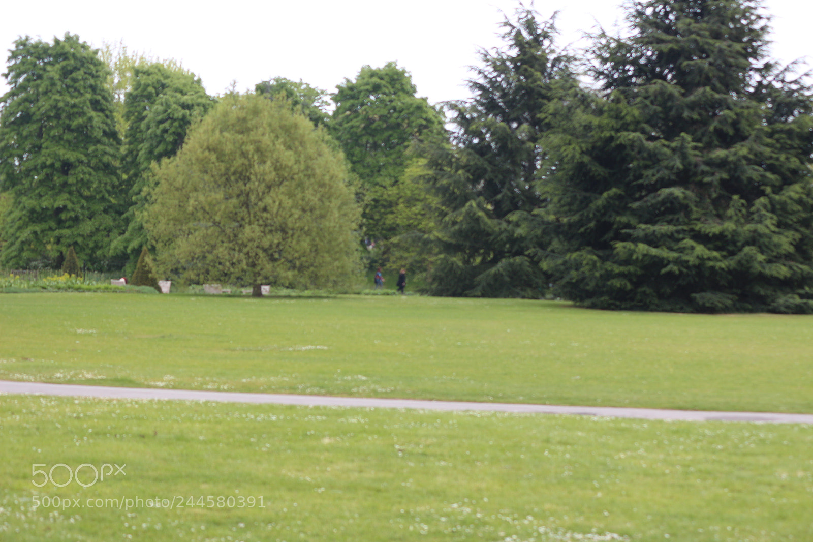 Canon EOS 650D (EOS Rebel T4i / EOS Kiss X6i) sample photo. Img photography