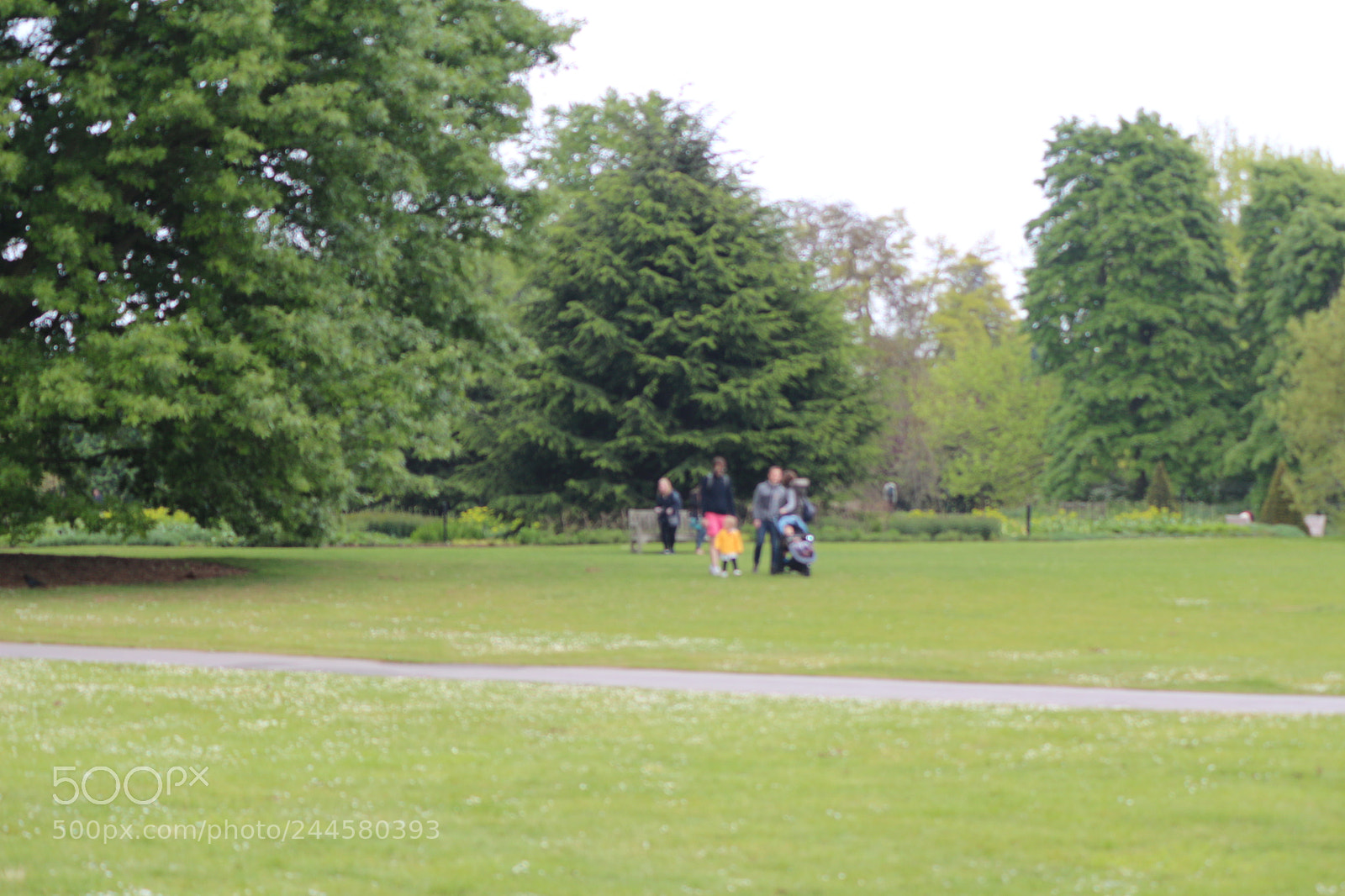Canon EOS 650D (EOS Rebel T4i / EOS Kiss X6i) sample photo. Img photography