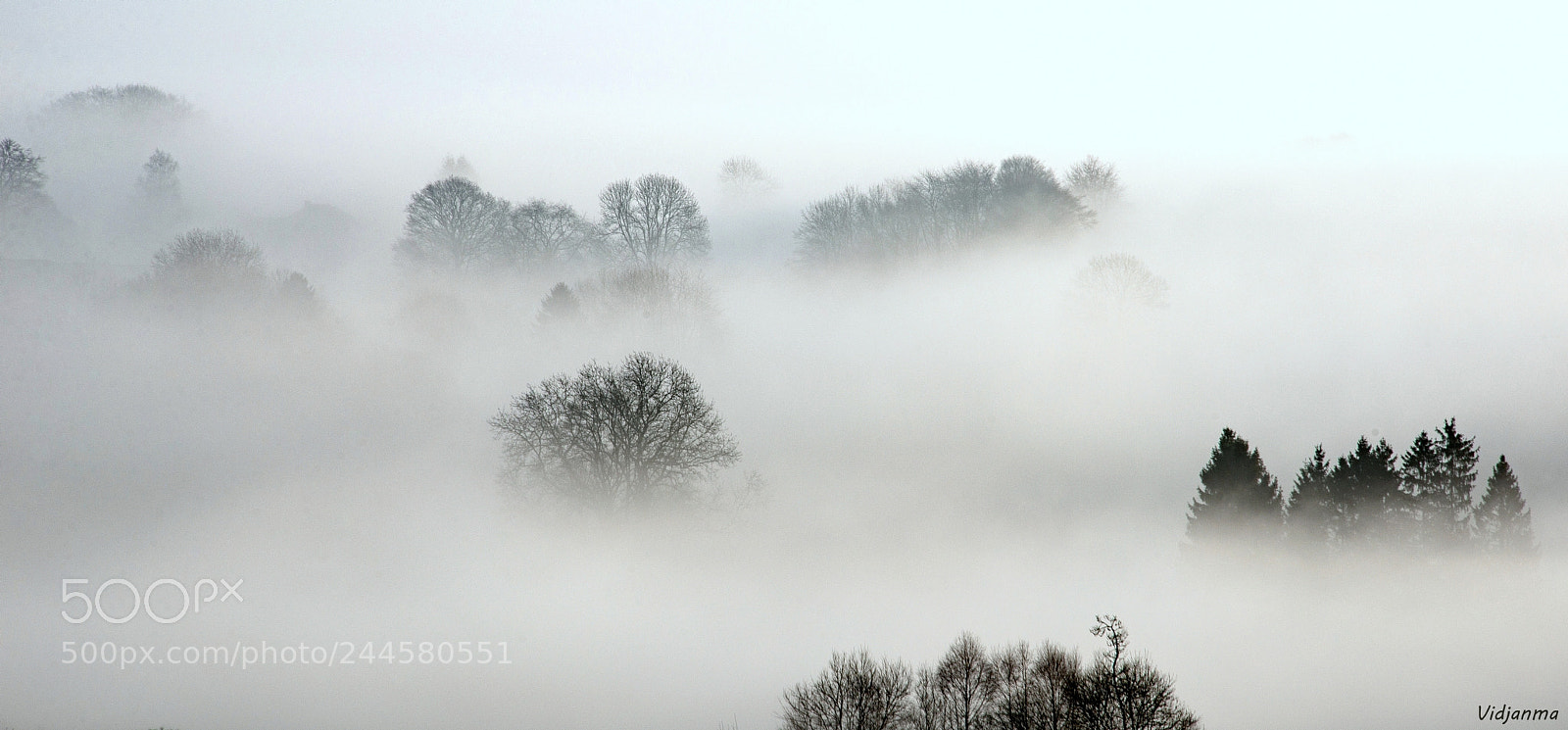 Nikon D610 sample photo. Lost in the misty photography