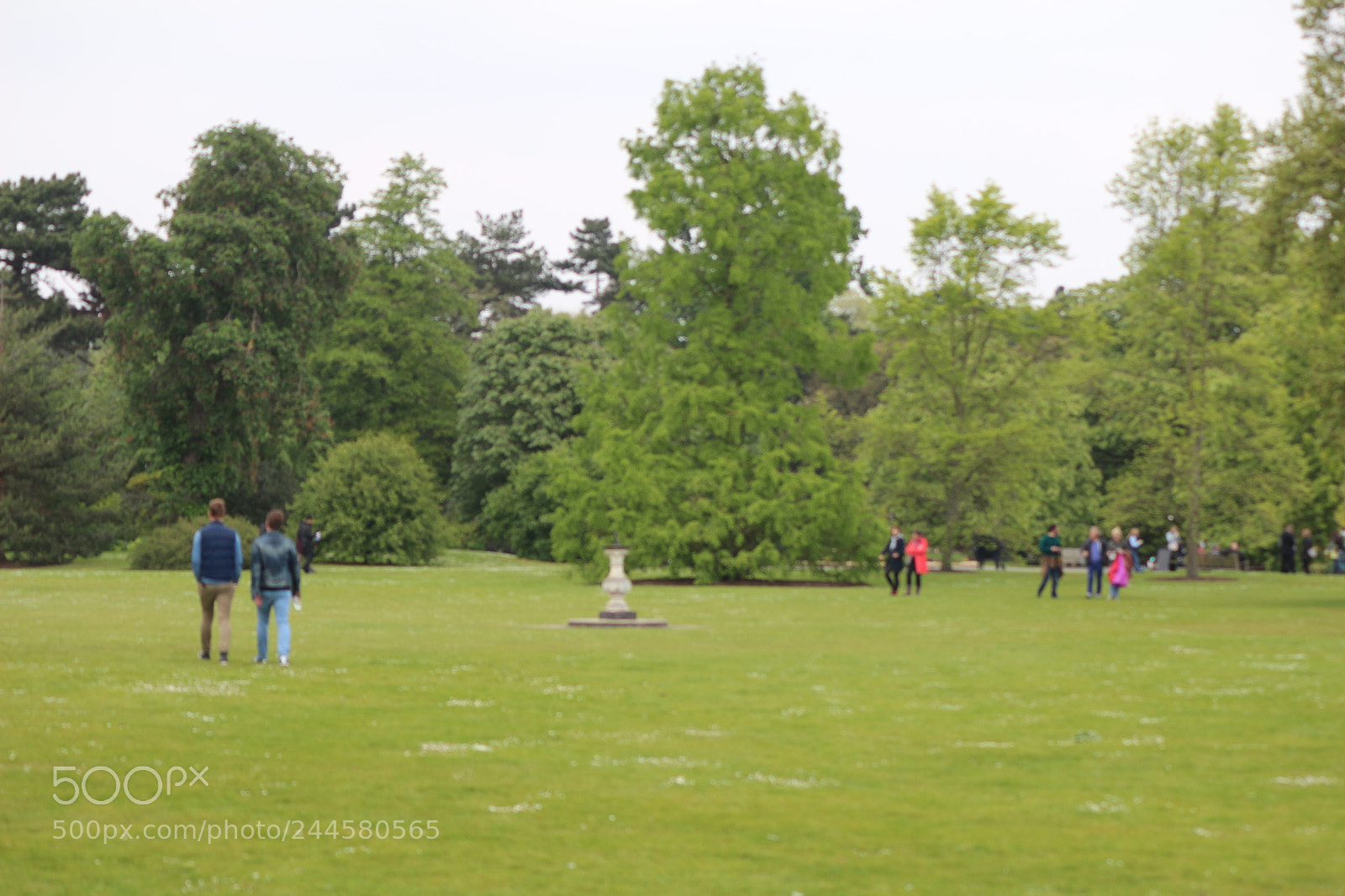 Canon EOS 650D (EOS Rebel T4i / EOS Kiss X6i) sample photo. Img photography