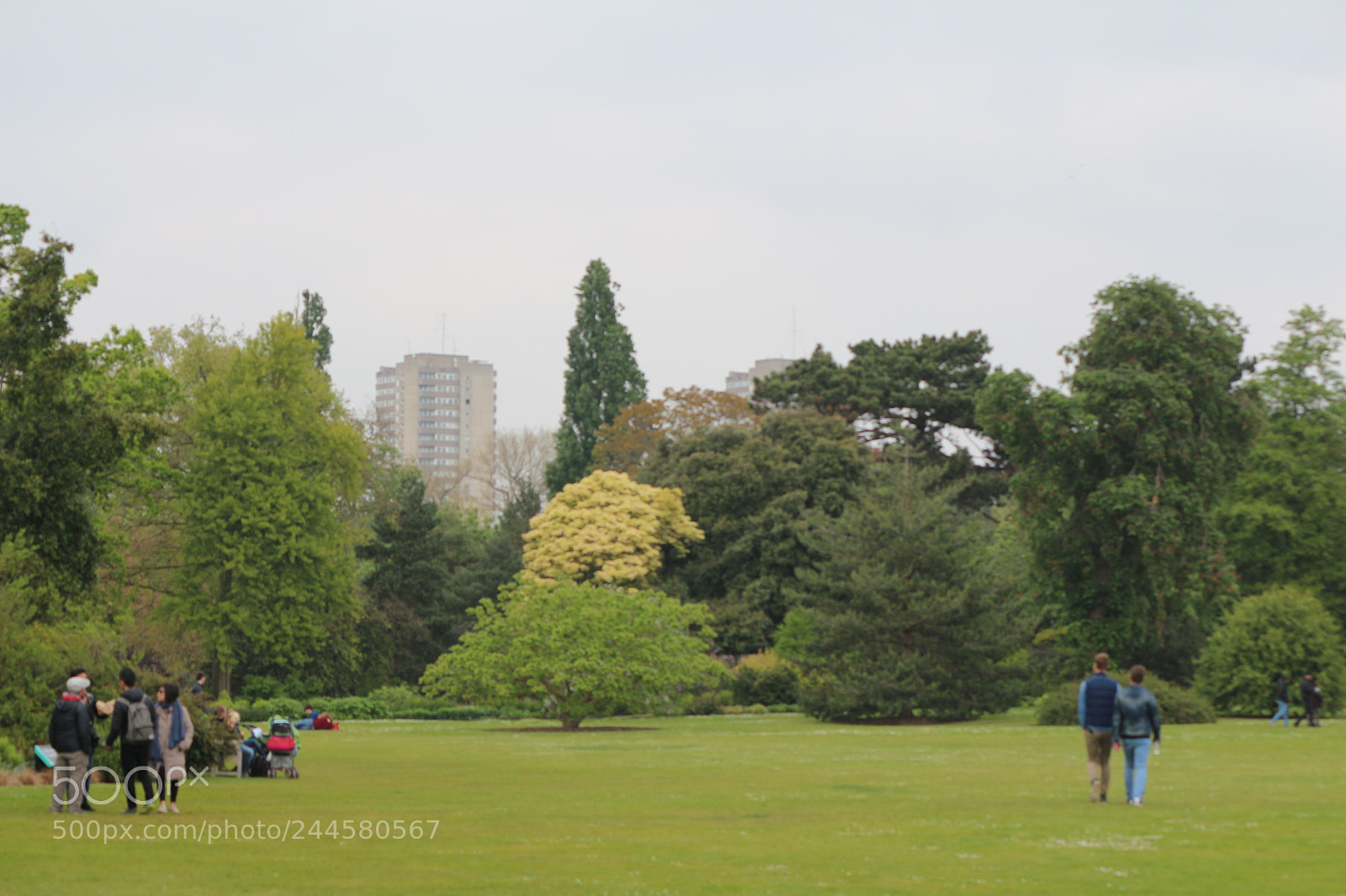 Canon EOS 650D (EOS Rebel T4i / EOS Kiss X6i) sample photo. Img photography