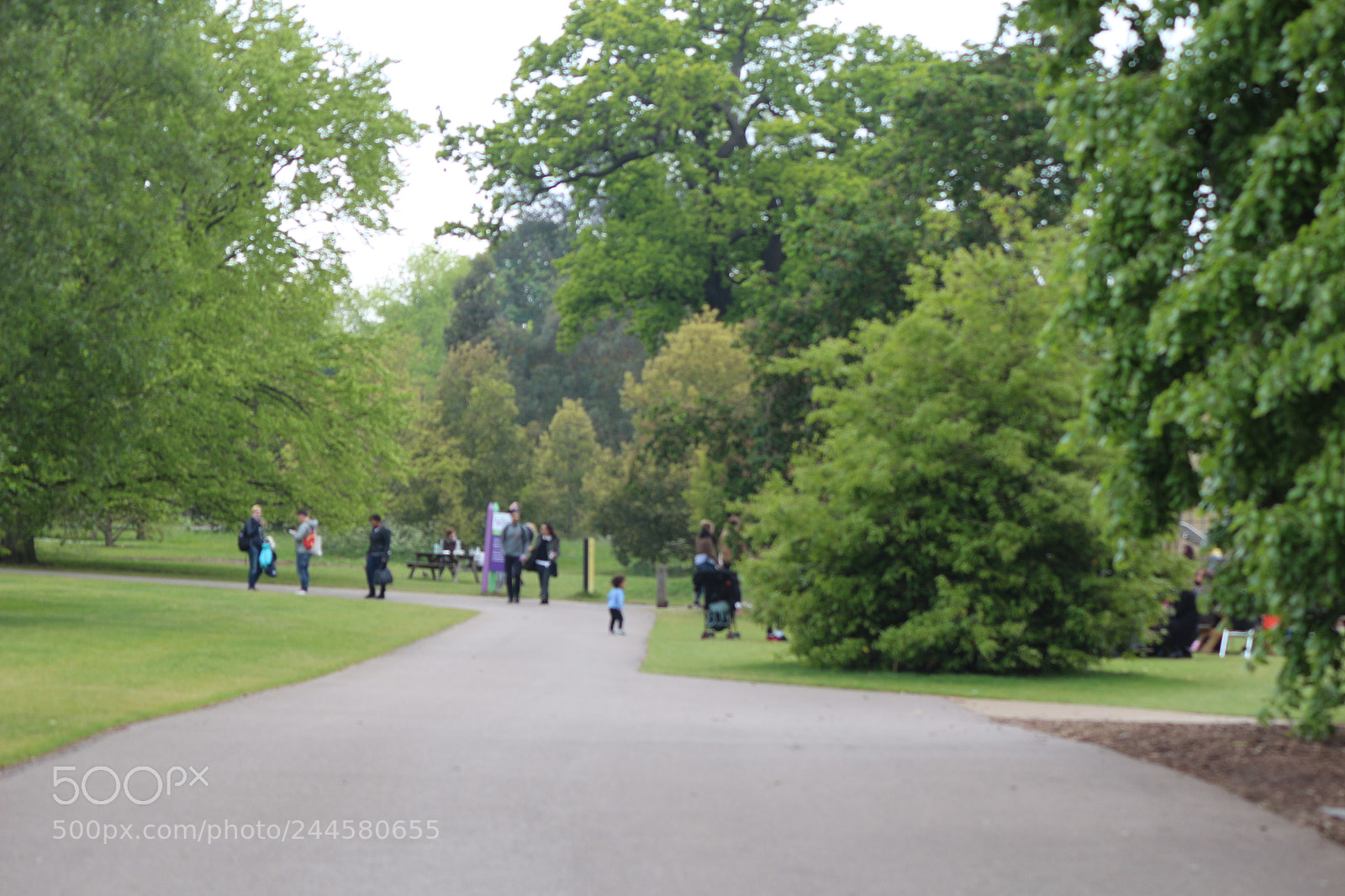 Canon EOS 650D (EOS Rebel T4i / EOS Kiss X6i) sample photo. Img photography