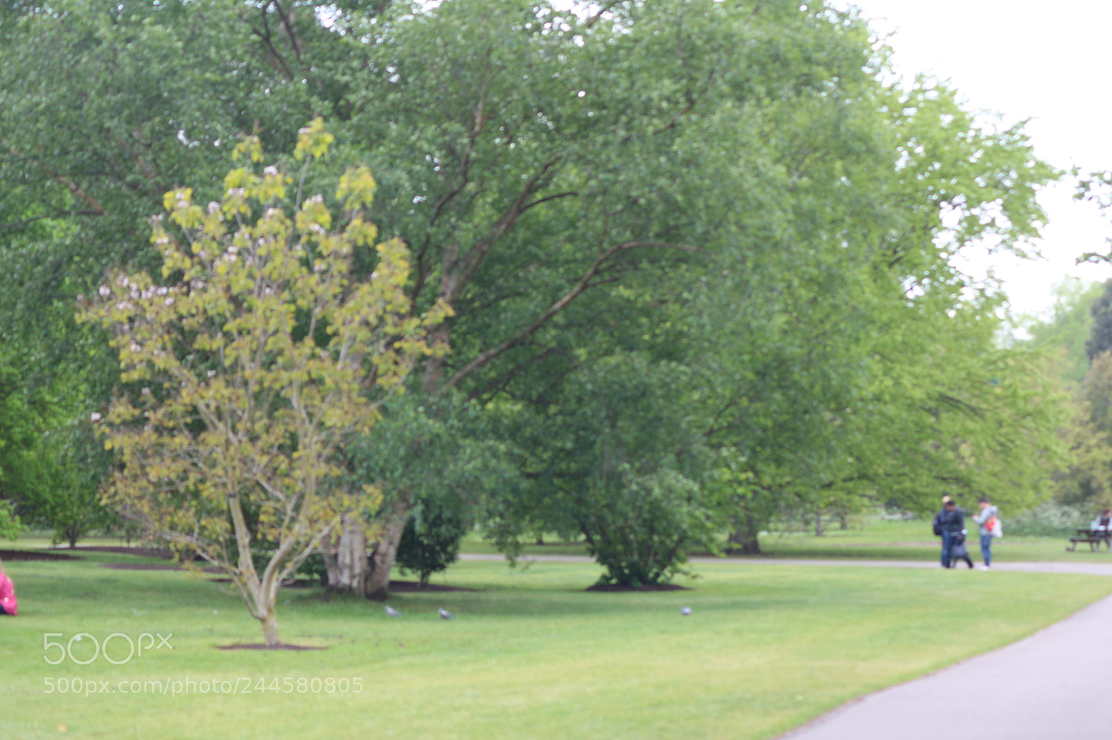 Canon EOS 650D (EOS Rebel T4i / EOS Kiss X6i) sample photo. Img photography