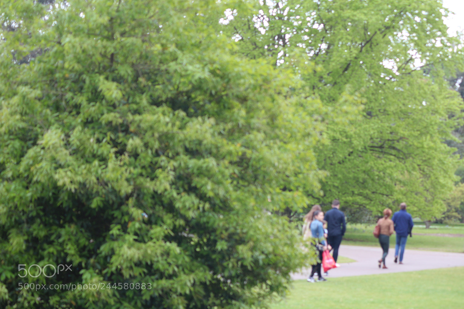 Canon EOS 650D (EOS Rebel T4i / EOS Kiss X6i) sample photo. Img photography