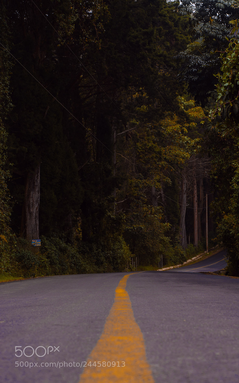 Nikon D7100 sample photo. Follow the line photography