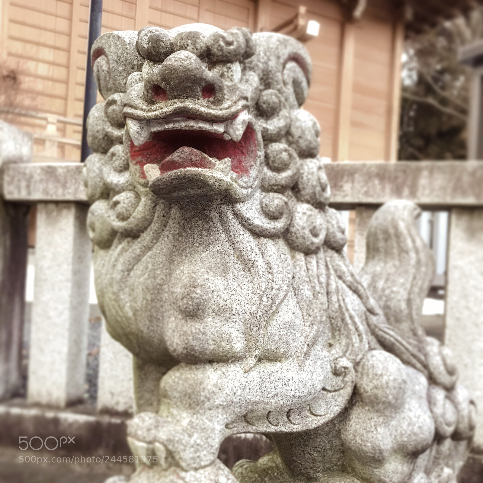 Apple iPhone 7 sample photo. 阿  #37 photography