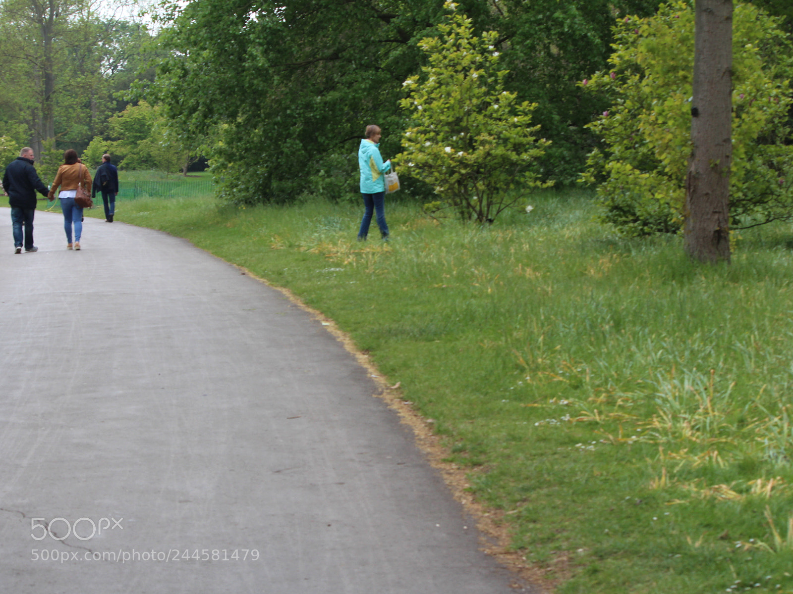 Canon EOS 650D (EOS Rebel T4i / EOS Kiss X6i) sample photo. Img photography