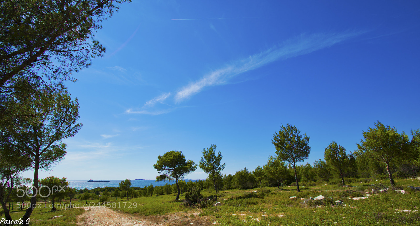 Nikon D7100 sample photo. Irrepressible desire of the photography