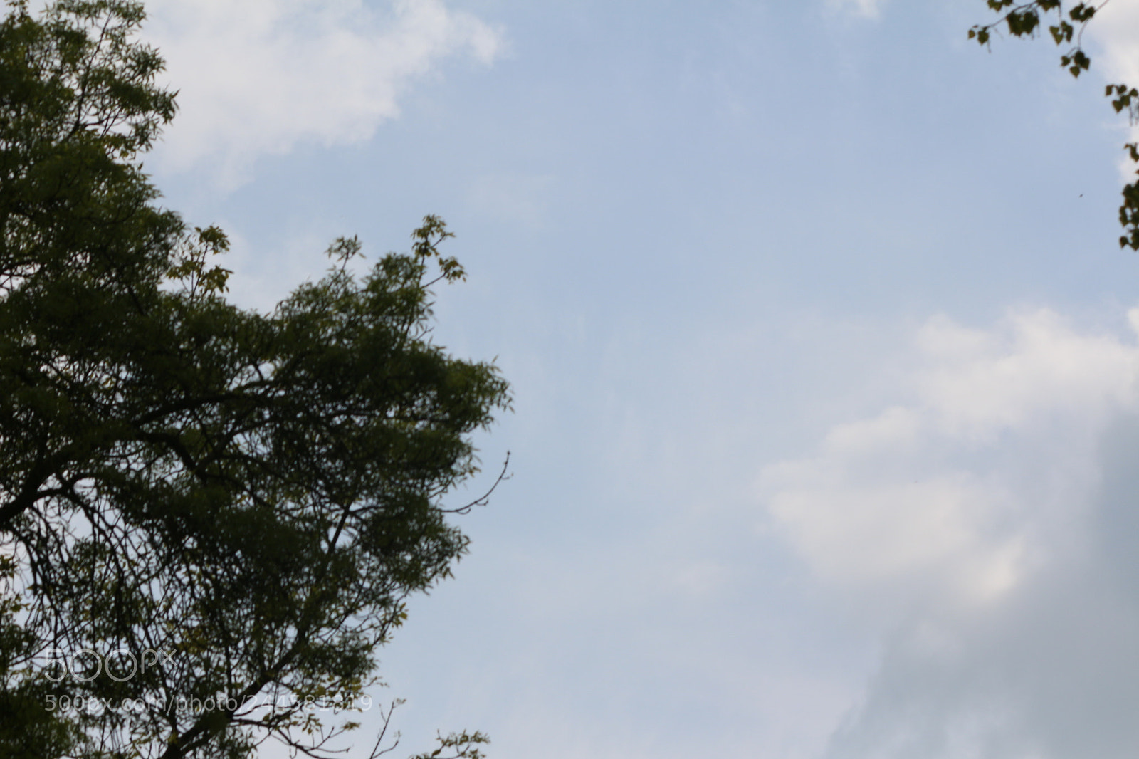 Canon EOS 650D (EOS Rebel T4i / EOS Kiss X6i) sample photo. Img photography