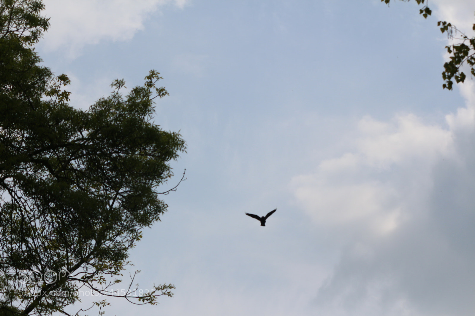 Canon EOS 650D (EOS Rebel T4i / EOS Kiss X6i) sample photo. Img photography