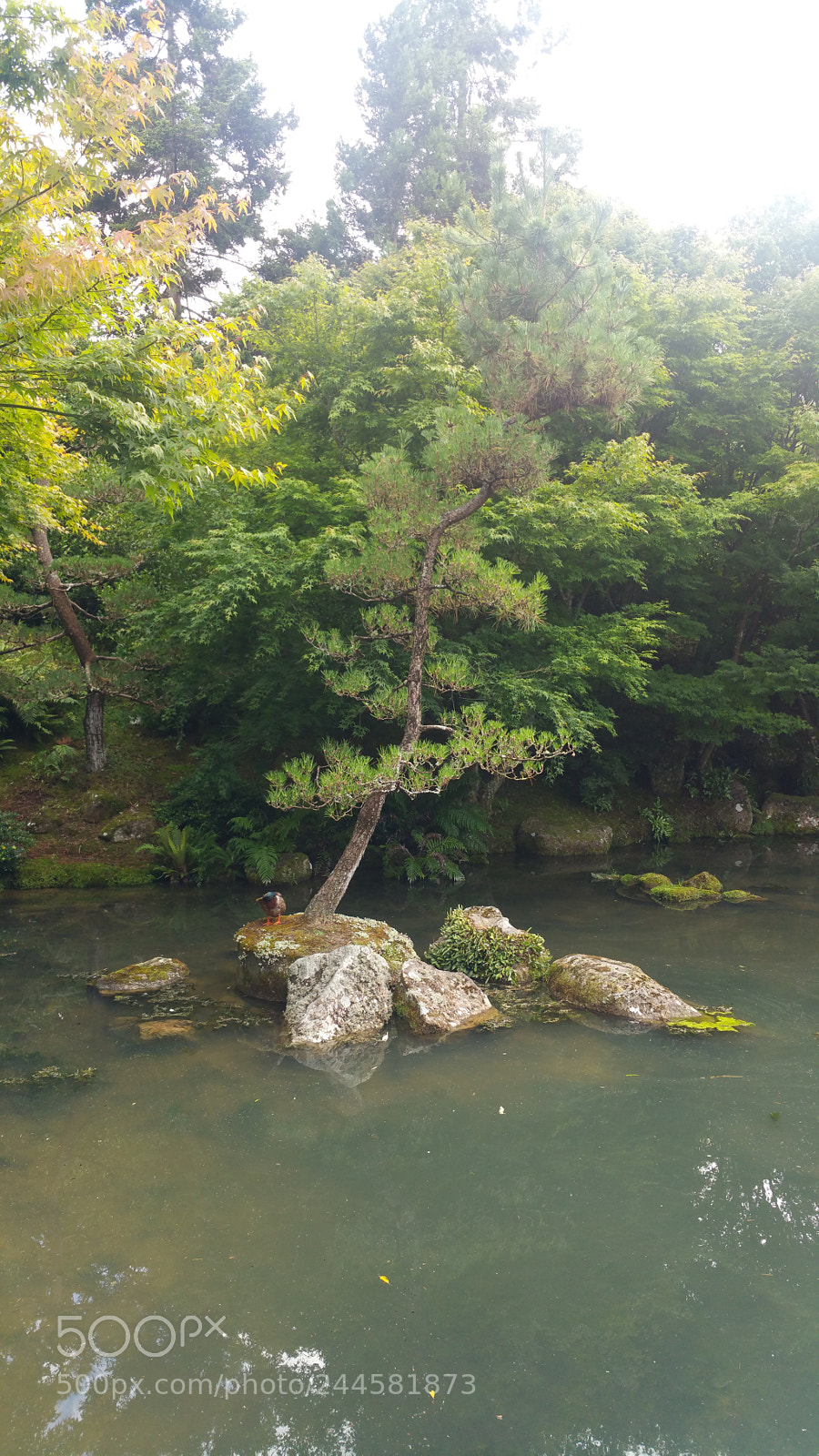 Samsung Galaxy Note4 sample photo. Japanese garden of contemplation photography