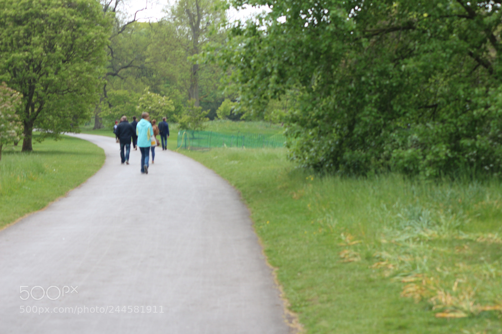 Canon EOS 650D (EOS Rebel T4i / EOS Kiss X6i) sample photo. Img photography