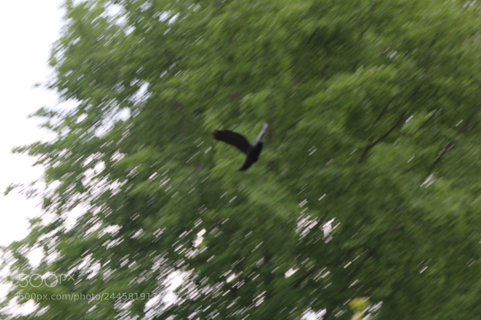 Canon EOS 650D (EOS Rebel T4i / EOS Kiss X6i) sample photo. Img photography