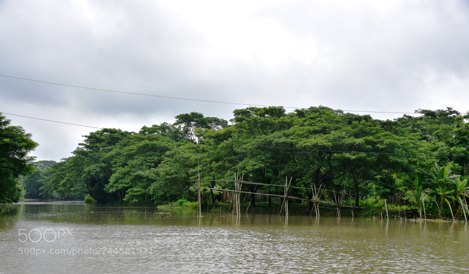 Nikon D7200 sample photo. Dsc photography