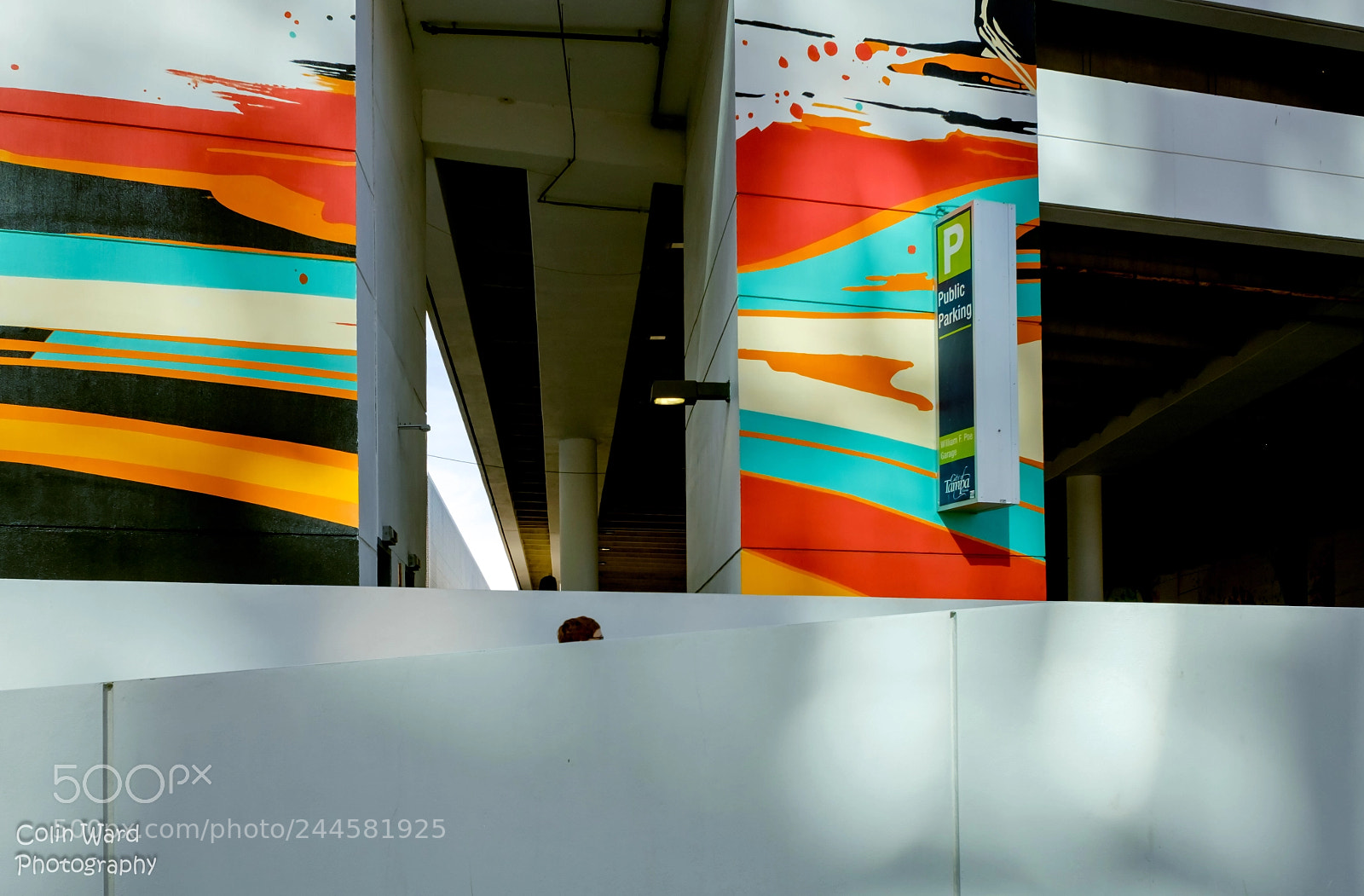 Fujifilm X70 sample photo. Tampa photography