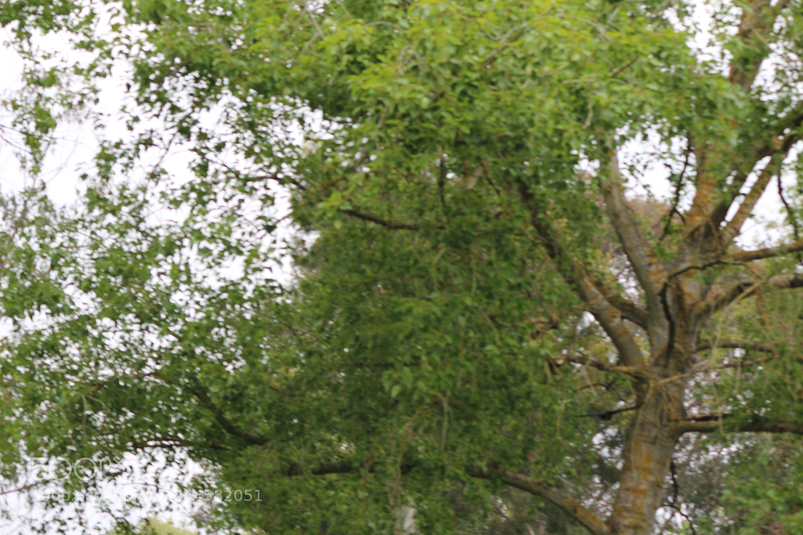 Canon EOS 650D (EOS Rebel T4i / EOS Kiss X6i) sample photo. Img photography