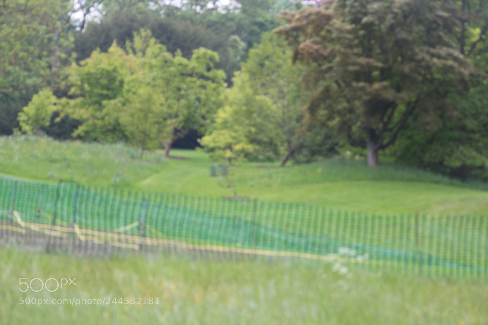 Canon EOS 650D (EOS Rebel T4i / EOS Kiss X6i) sample photo. Img photography