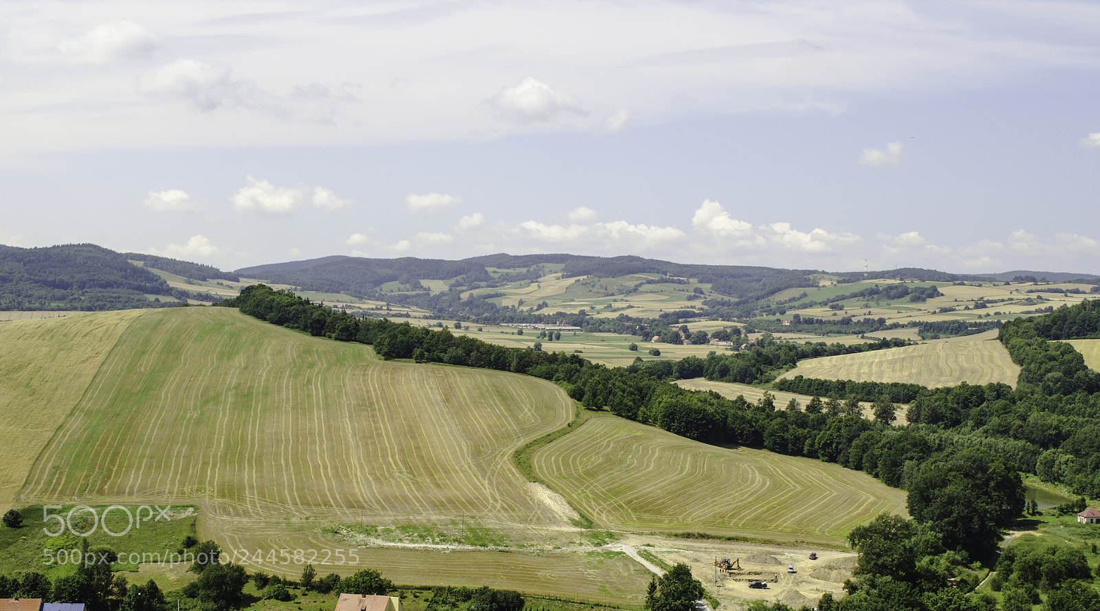 Nikon D5100 sample photo. Field photography