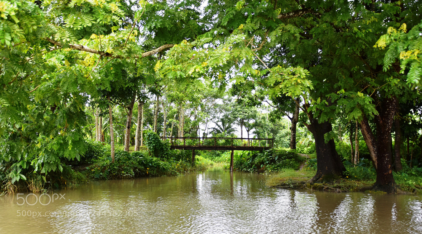 Nikon D7200 sample photo. Dsc photography