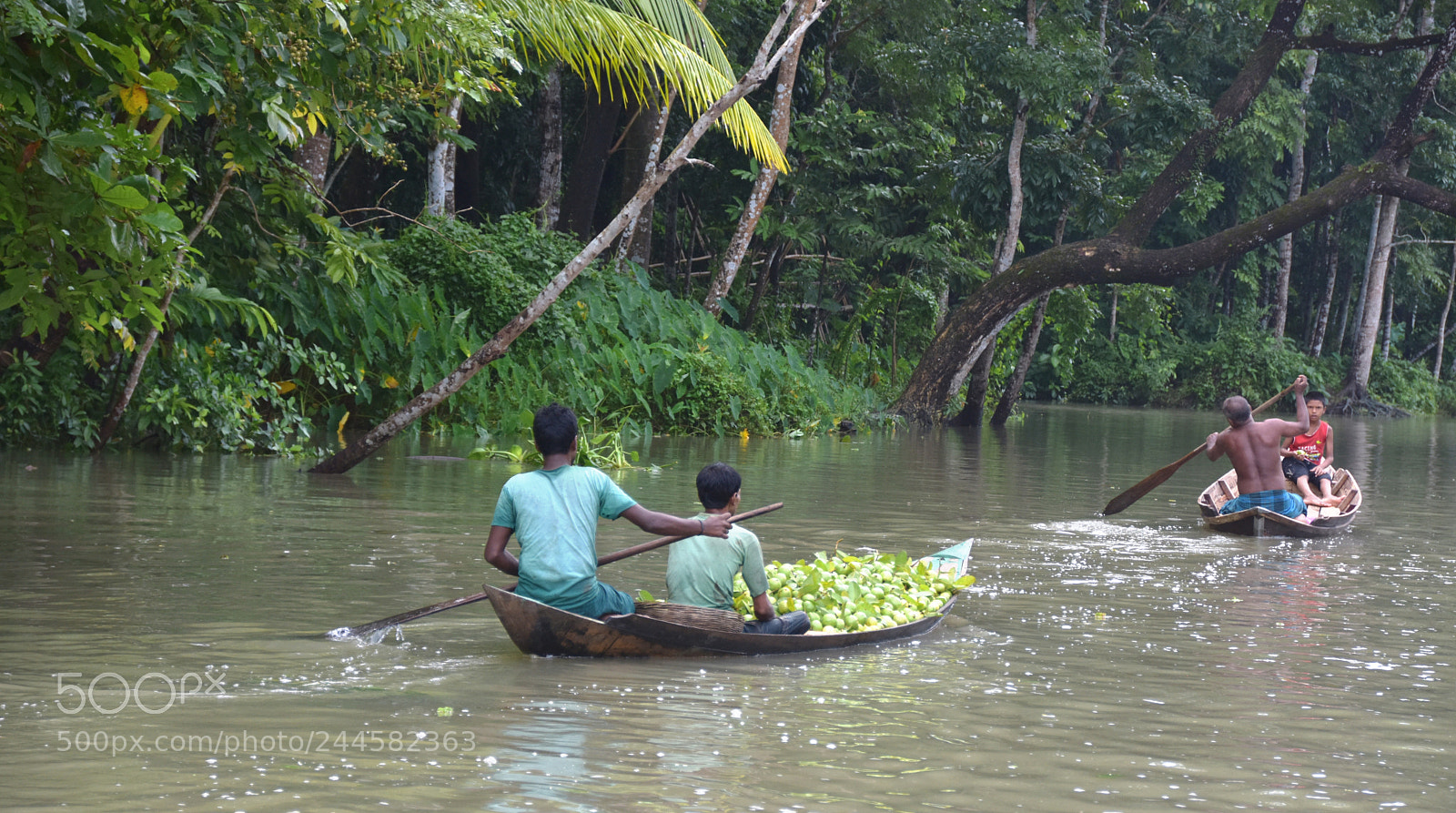 Nikon D7200 sample photo. Dsc photography