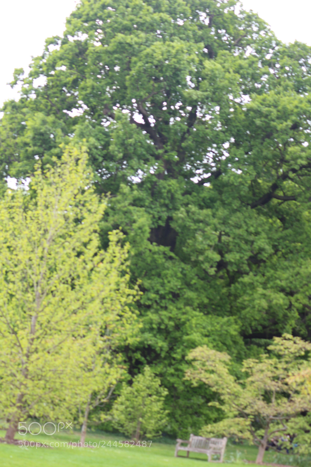 Canon EOS 650D (EOS Rebel T4i / EOS Kiss X6i) sample photo. Img photography