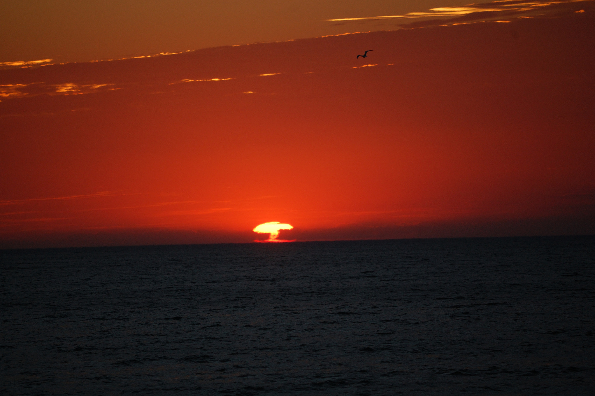 Nikon D40 sample photo