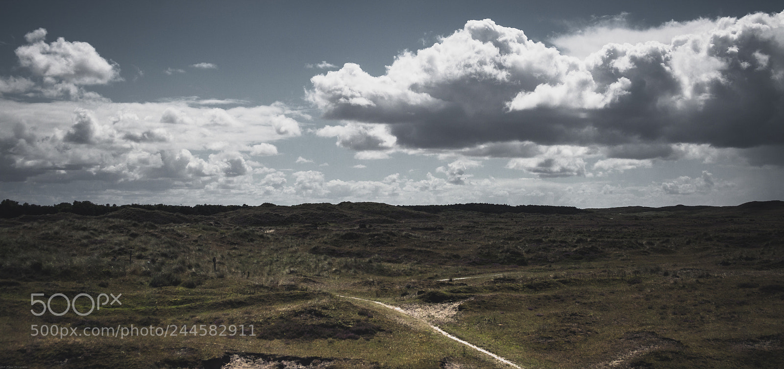 Canon EOS 50D sample photo. Endless dunes to the photography