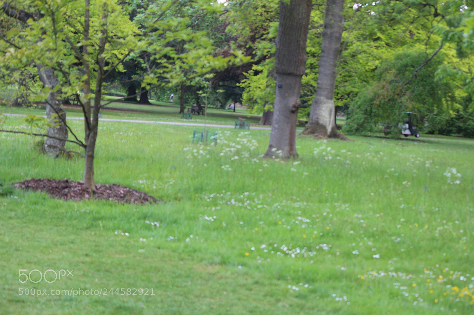 Canon EOS 650D (EOS Rebel T4i / EOS Kiss X6i) sample photo. Img photography