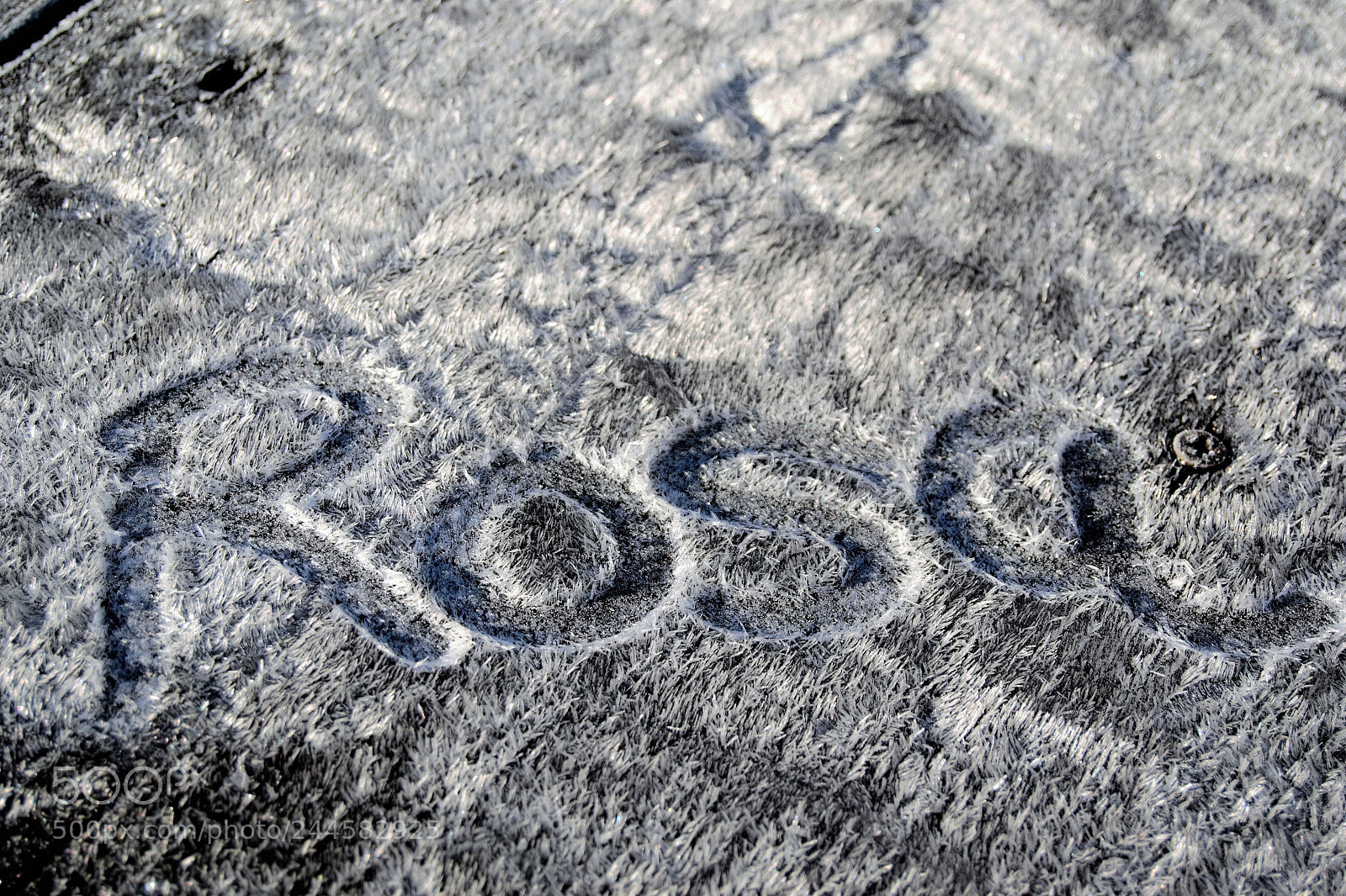 Nikon D3100 sample photo. My name photography
