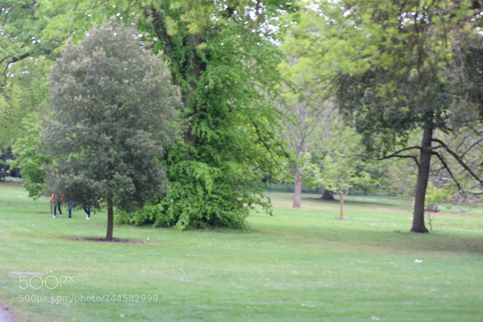 Canon EOS 650D (EOS Rebel T4i / EOS Kiss X6i) sample photo. Img photography