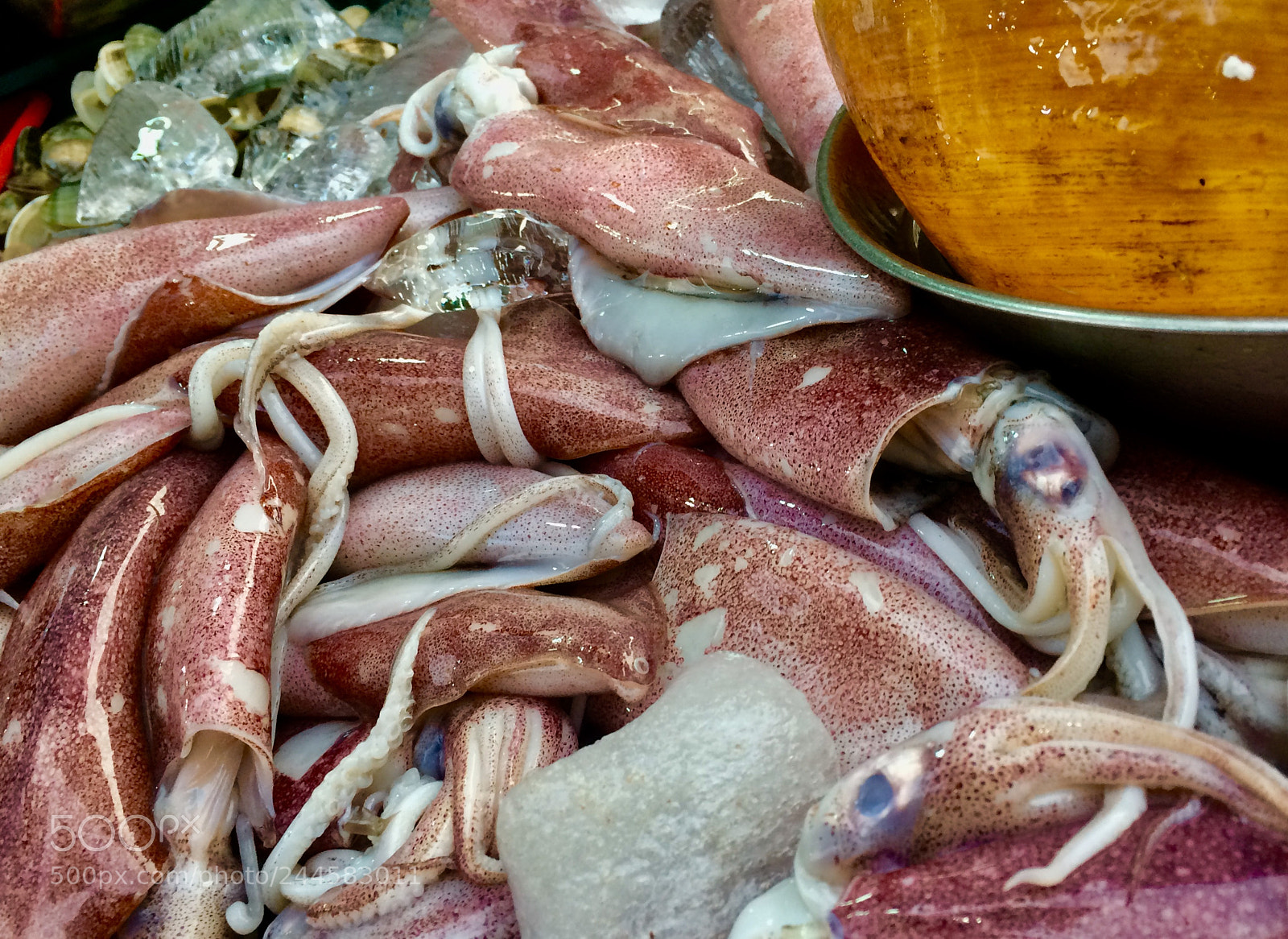 Apple iPhone 5s sample photo. Kota kinabalu night market photography