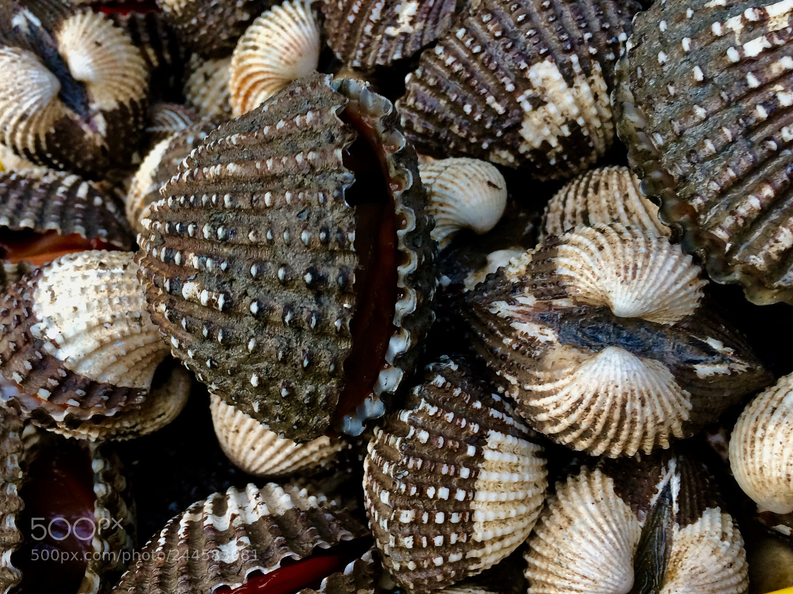 Apple iPhone 5s sample photo. Kota kinabalu night market photography