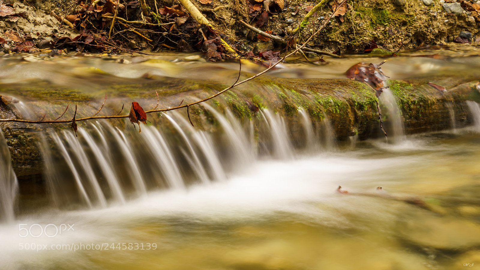 Sony ILCA-77M2 sample photo. The creek photography