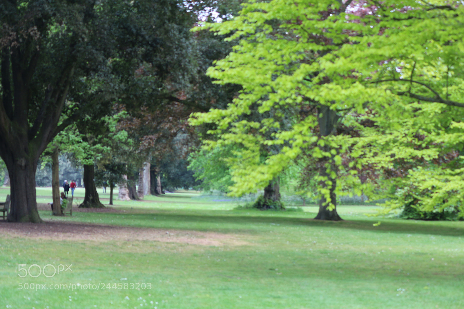 Canon EOS 650D (EOS Rebel T4i / EOS Kiss X6i) sample photo. Img photography