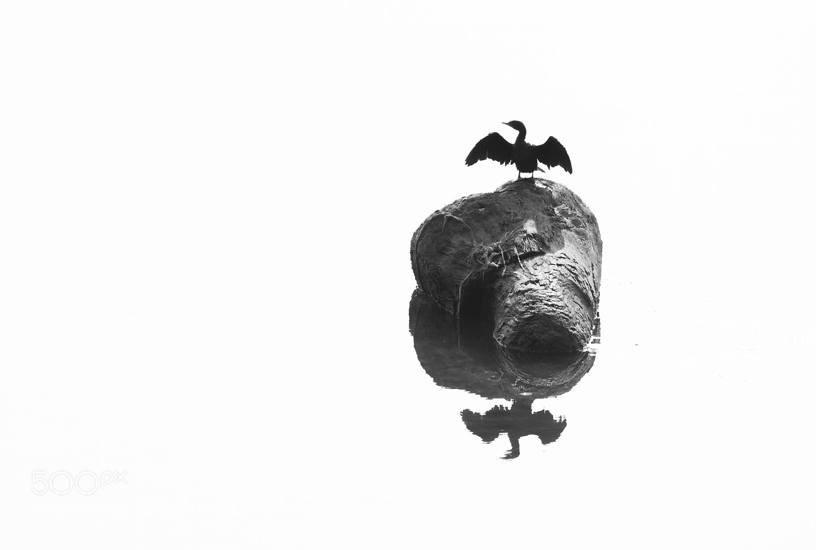 Canon EOS 1300D (EOS Rebel T6 / EOS Kiss X80) sample photo. Minimalism photography
