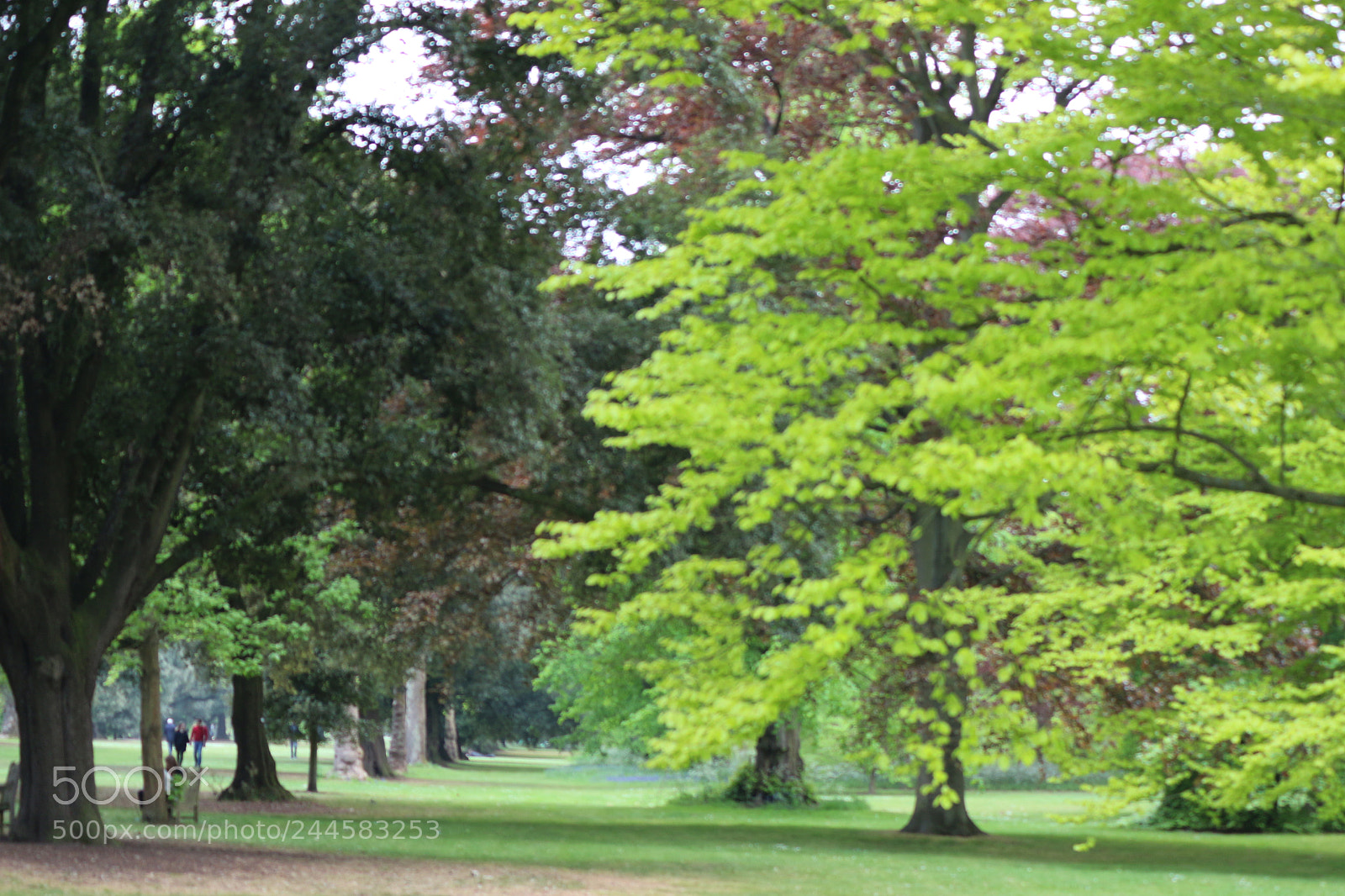 Canon EOS 650D (EOS Rebel T4i / EOS Kiss X6i) sample photo. Img photography
