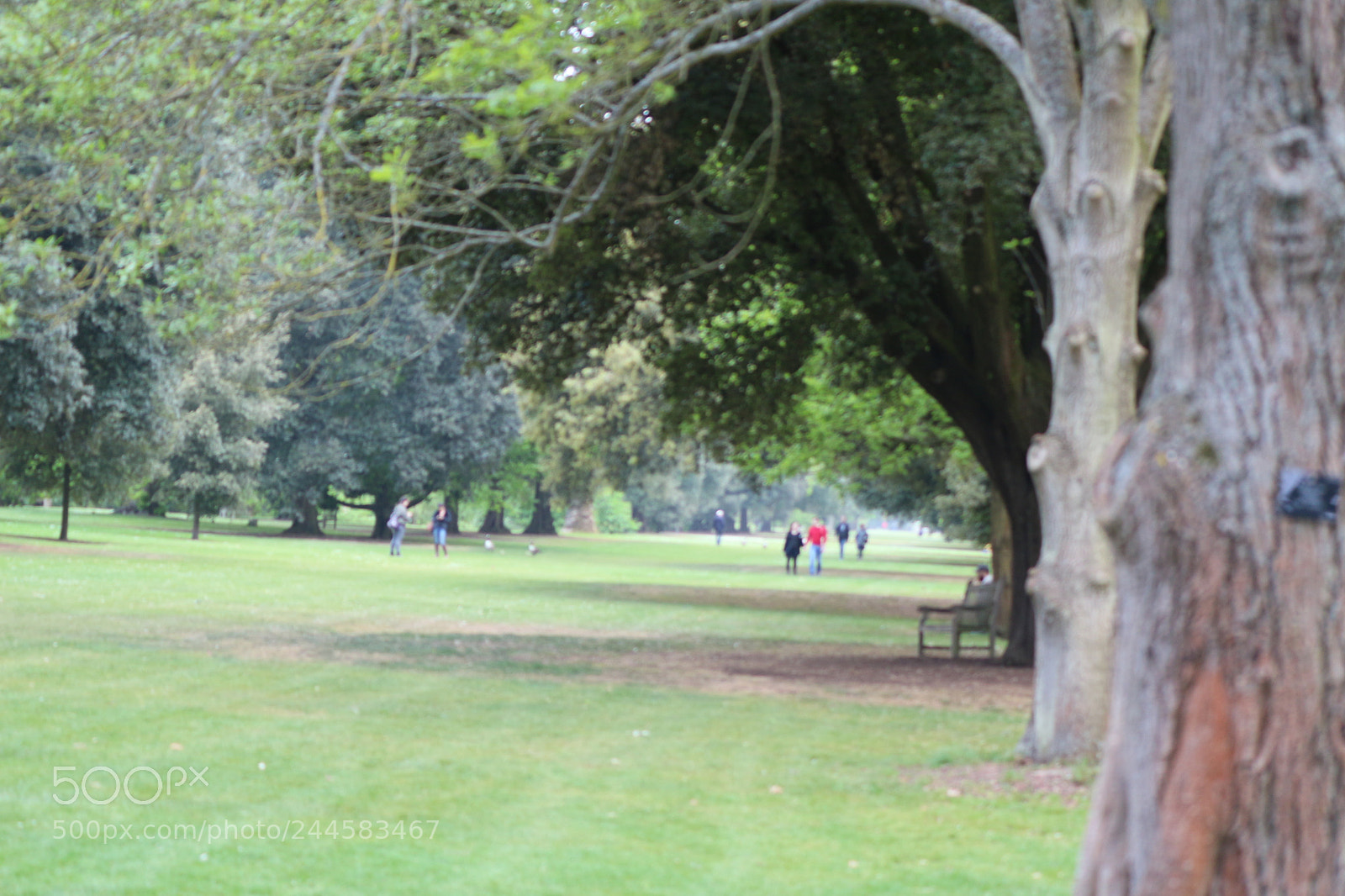 Canon EOS 650D (EOS Rebel T4i / EOS Kiss X6i) sample photo. Img photography